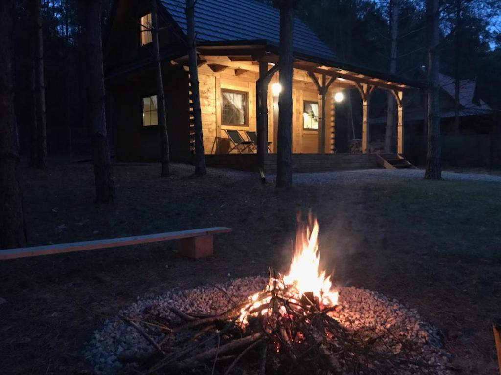 Forest Inn Trzepieciny Ngoại thất bức ảnh