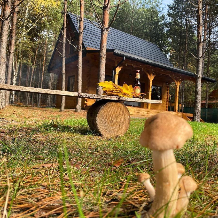 Forest Inn Trzepieciny Ngoại thất bức ảnh