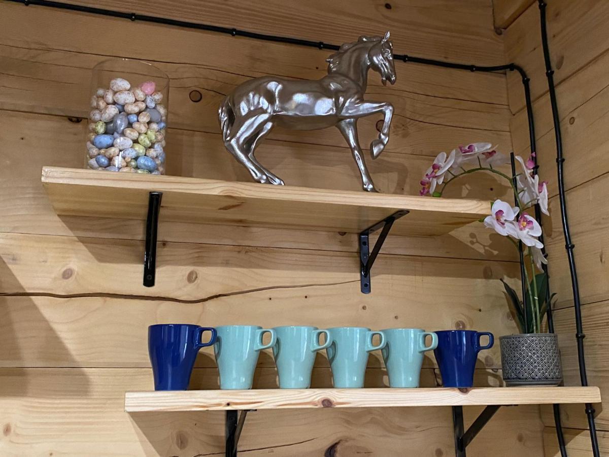 Forest Inn Trzepieciny Ngoại thất bức ảnh