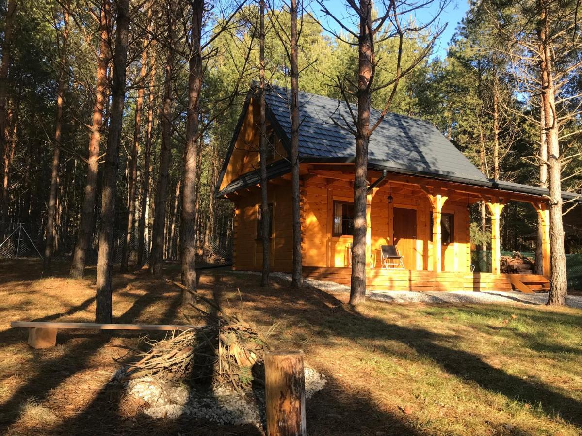 Forest Inn Trzepieciny Ngoại thất bức ảnh